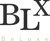 BeLuxe Inc. Logo