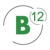 B12 Consulting Inc Logo