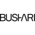 The Bushari Team Logo
