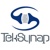 TekSynap Logo