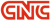 Classic Network and Computers Logo