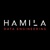 Hamila Data Engineering Logo