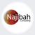 Najibah Consulting S. de R.L de C.V. Logo