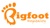 Bigfoot Hospitality Logo
