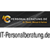 IT-Personalberatung Dr. Dienst & Wenzel GmbH & Co. KG Logo