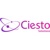 Ciesto solutions Logo