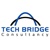 Tech Bridge Consultancy Logo