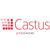 Castus Ekonomi Logo