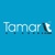 Tamar IT Logo