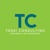 Tessi Consulting Logo