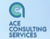 ACE CONSULTING SERVICES LLC Logo