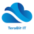 Terabit IT Logo