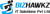 Bizhawkz IT Solutions Pvt Ltd. Logotype