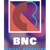 BNC Digital Marketing Logo