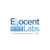 Ellocent Labs IT Solutions Private Limited Logo