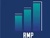 RMP Professional Services Logo