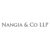 Nangia & Co LLP Logo