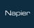 Napier Partnership Limited Logo