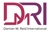 Damian M. Reid International Logo