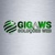 Giga WS Soluções Web Logo