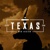 Texas Web Design Logo