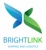 BrightLink Shipping and Logistics Logo