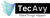TecAvy Logo