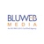 BluWebMedia IT Services Pvt. Ltd.