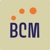 BCM Analytics Logo