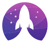 Apollo Digital Logo