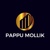 PAPPU MOLLIK Logo
