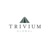 Trivium Global, LLC Logo