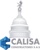 CALISA CONSTRUCTORES S.A.S. Logo