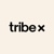 Tribe X Digital Logo