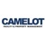 Camelot Services Logo