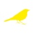 Canary Studio Logo