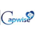 Capwise Digital Media Logo