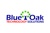 Blue Oak Technology Services Logo