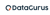 Data Gurus Logo
