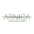Arnica Marketing Agency Logo