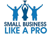 Small Business Like A Pro Logo