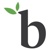 Bamboo Detroit Logo