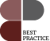 Best Practice Logo
