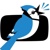 Jaybird Media Logo