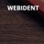 Webident Logo
