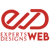 Experts Web Designs Logo