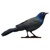 Blackbird BI, LLC Logo