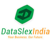 DataSlexIndia Logo