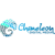Chameleon Digital Media Logo