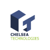 Chelsea Technologies Logo